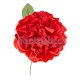 Flor para el Pelo Modelo Eugenia Color Rojo