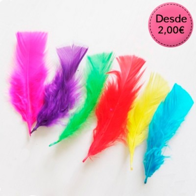 Plumas de pato