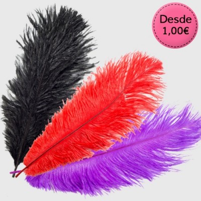 Plumas para Halloween