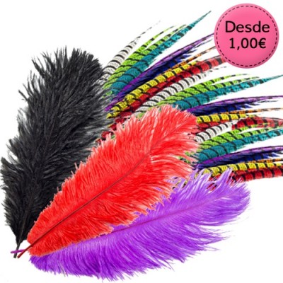 Plumas de Avestruz y Faisán para Halloween