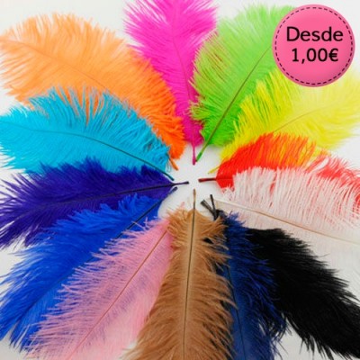 Plumas de Avestruz de colores
