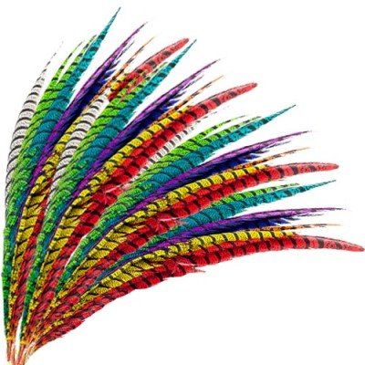 Plumas de faisán largas